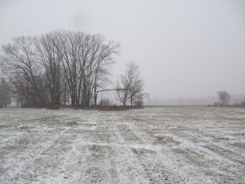 Another View of the Snow