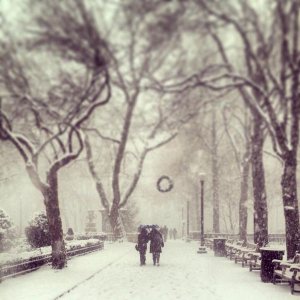 Nice Shot of the Snow Yesterday