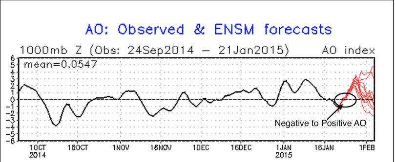 Arctic Oscillation