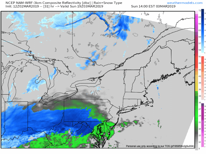 NAM-WRF 3-km Metro Regions Northeast US Simulated Radar.gif